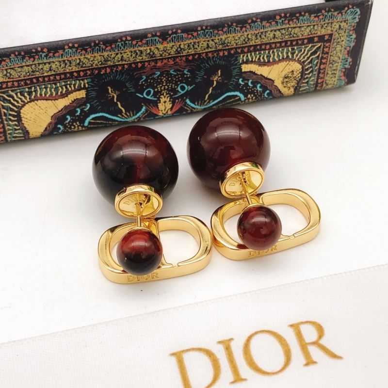 Christian Dior Earrings